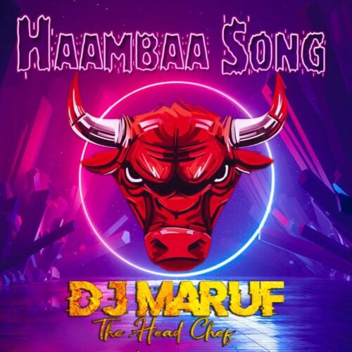 Haambaa Song by DJ Maruf