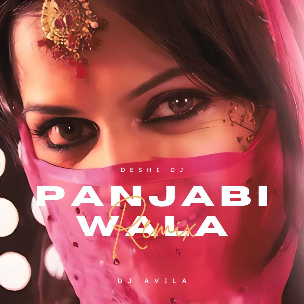 Panjabiwala (Remix) - DJ Avila